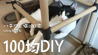 Diy 100均グッズだけで猫ハンモックハウスを作ってみたらどうなる ハチワレ猫の日常 Sasuke Ch 100均スタイル