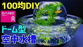 メダカの ドーム型 空中水槽 作り方100均diy メダカ室内飼育 卓上ビオトープ アートアクアリウム作成 How To Make A Tabletop Amazing Idea Aquarium こっさんch 100均スタイル