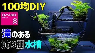 滝のある メダカの飾り棚水槽 作り方100均diy メダカ飼育 苔テラリウム ダイソーアイテムで作成 How To Make A Waterfall Fountain Moss Terrarium こっさんch 100均スタイル