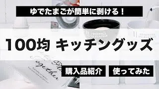 100均 ダイソー購入品紹介 使ってみる 新商品 快適睡眠 ディズニーポーチ 冷蔵庫収納 モノトーンディフューザー Coco S House 100均スタイル